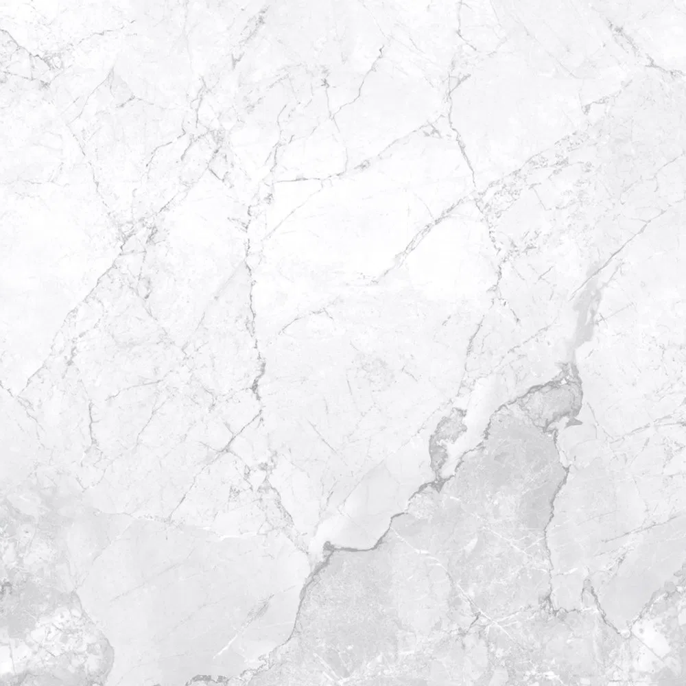 Керамогранитная плитка 600x600 мм для пола