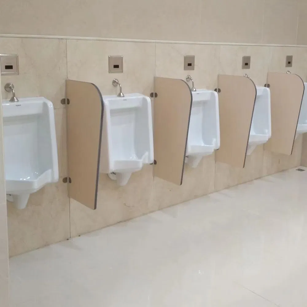 Privacy Sandblasted Tempered Glass for Toilet Urinal Divider Glass