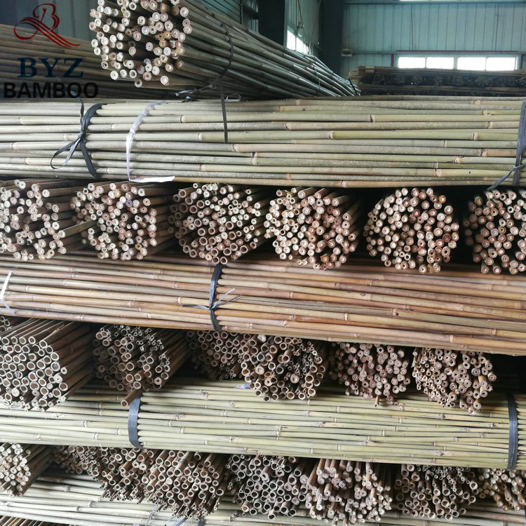 Cheap Tonkin Tsinglee Cane Natural Large Bamboo Poles