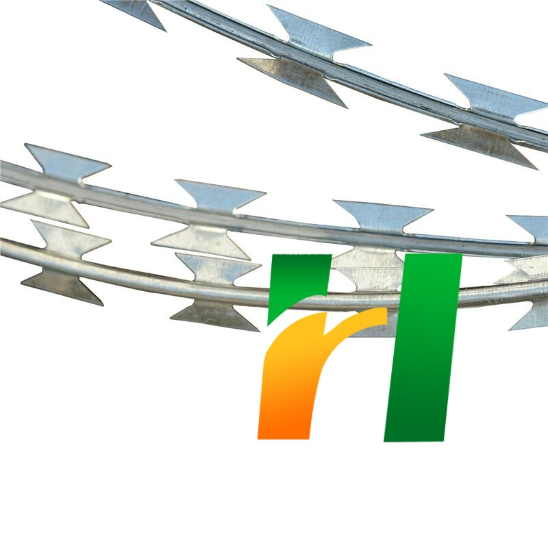 Good Price Concertina Galvanized Razor Barbed Wire Length