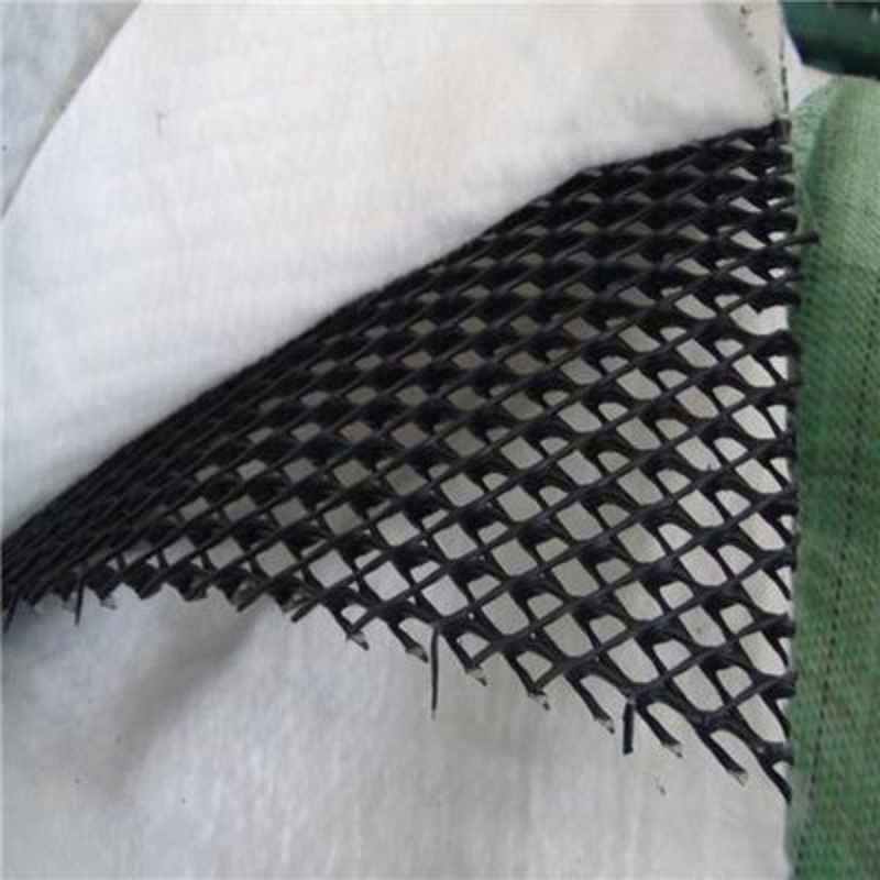 Tri-Dimension Composite Geonet for Drainage for Landfill Road Garden