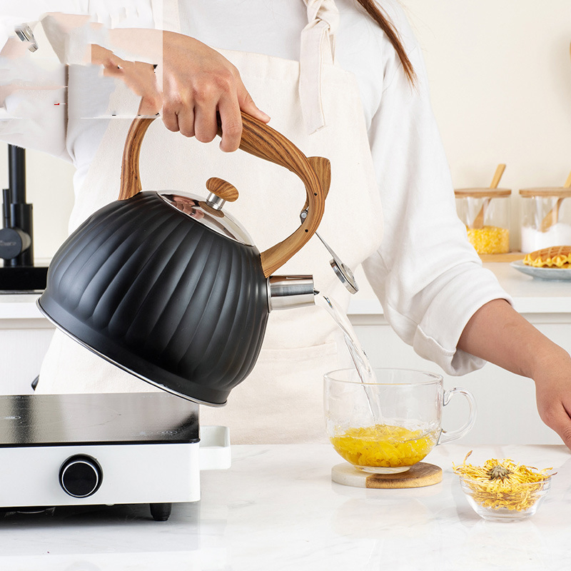 Modern Whistling Kettle Surgical Stainless Steel Teakettle Tea Pots Stove-Top Tea Kettle