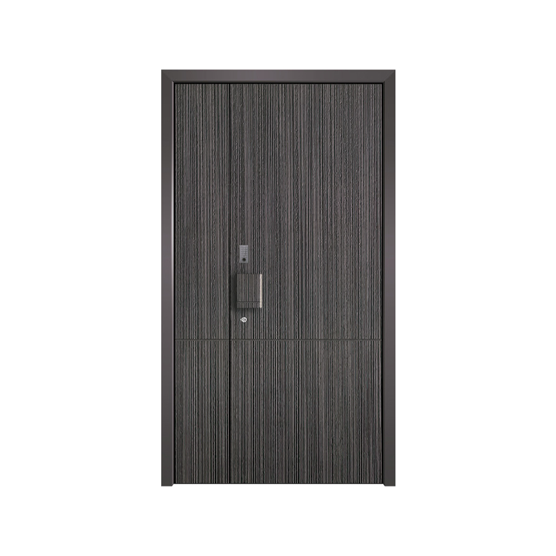 Modern Fireproof Iron Doors for Contemporary Home Design