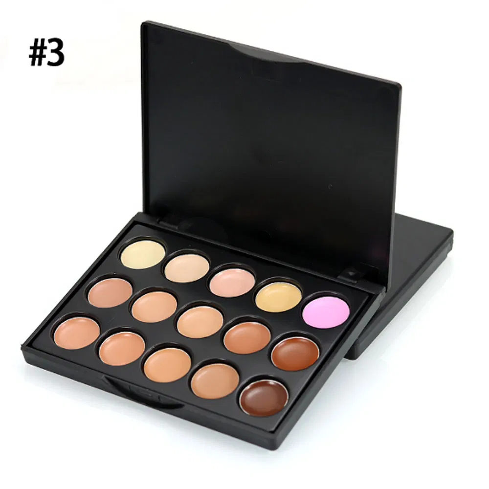 Popular Complete 15 Color Concealer Palette