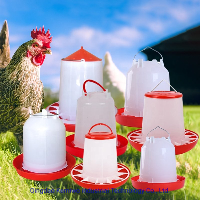 Poultry Equipment Feeding System Chicken Accessories