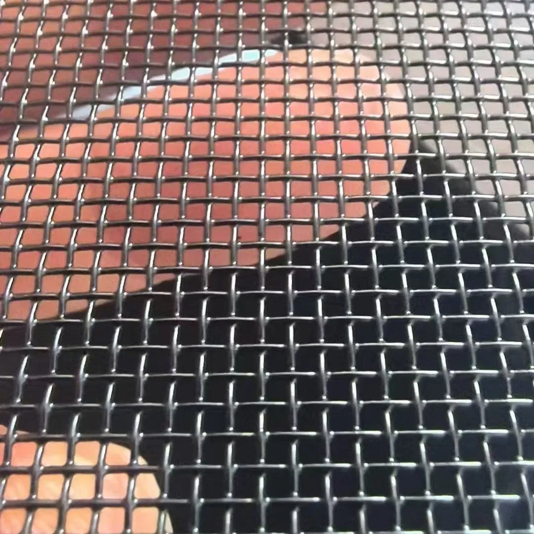 High Quality Modern Design Fiberglass Window Screen Anti-Insect Screen with Excellent Style
