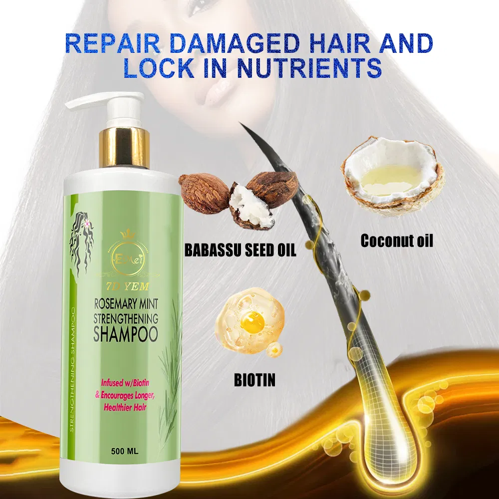 OEM Private Brand High Quality Natural Hair Care Hair Induction Cleaning Nourishing Organic Enhanced Rosemary Mint Shampoo