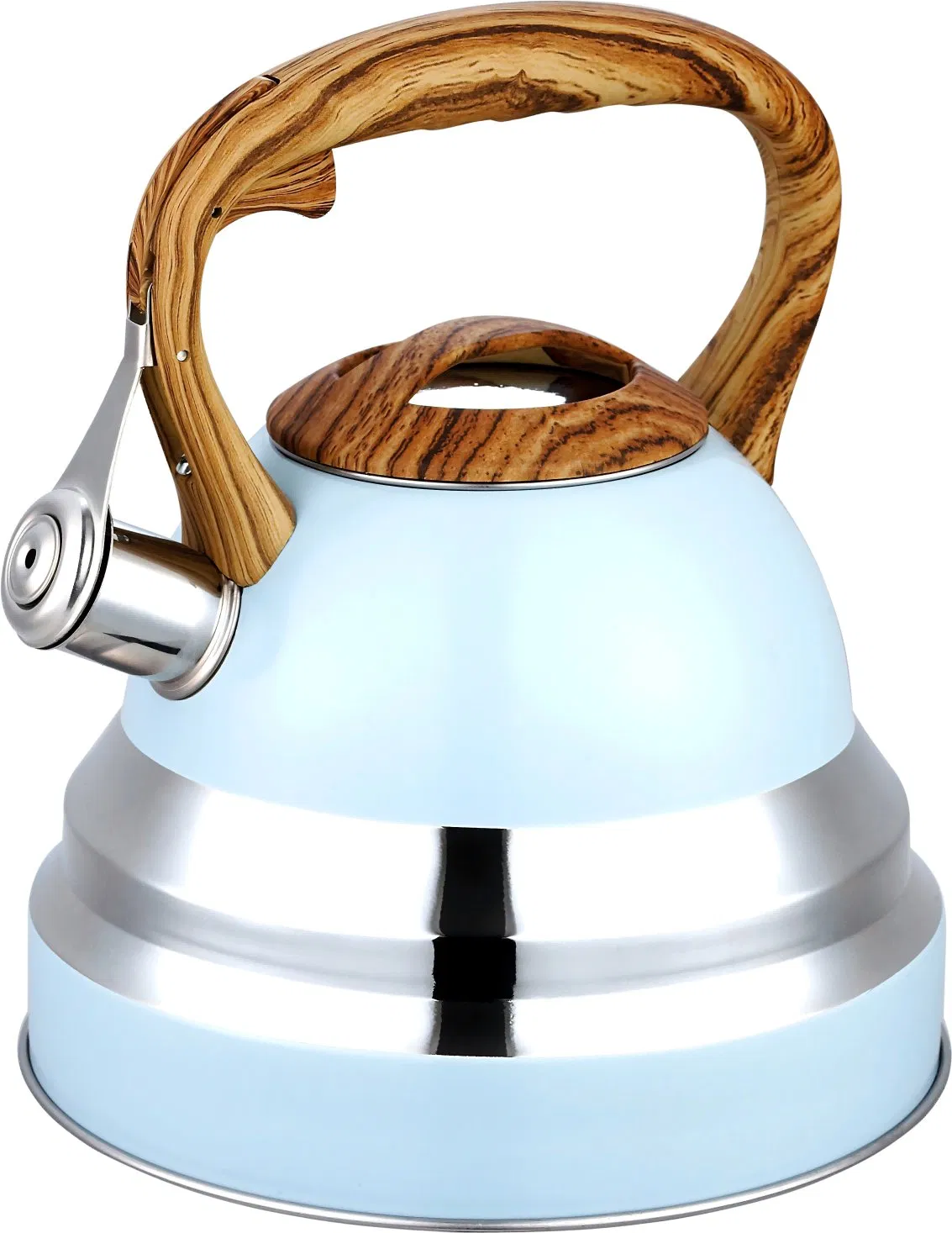 Color Painting Large Capacity 2.5L Whistling Pot Stainless Steel Teapot Water Kettle