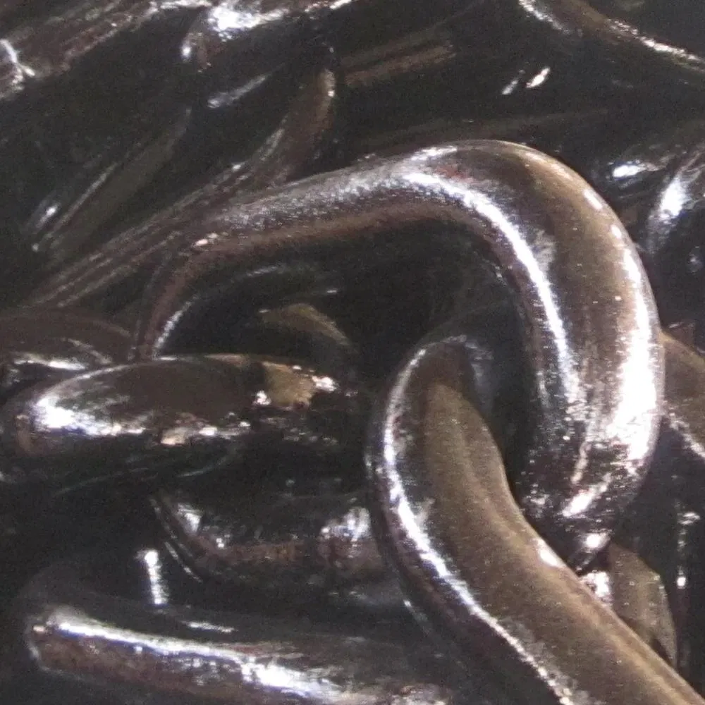 High Strength High Hardness 16mm-130mm Mooring Chain for Oil Gas Platform