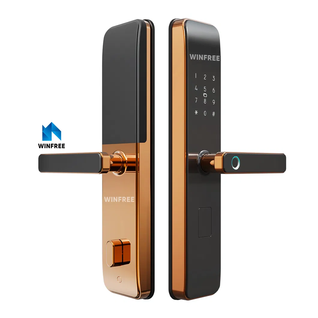 Fashion Design Security Door Electronic Fingerprint Digital Smart Door Locks for Doors