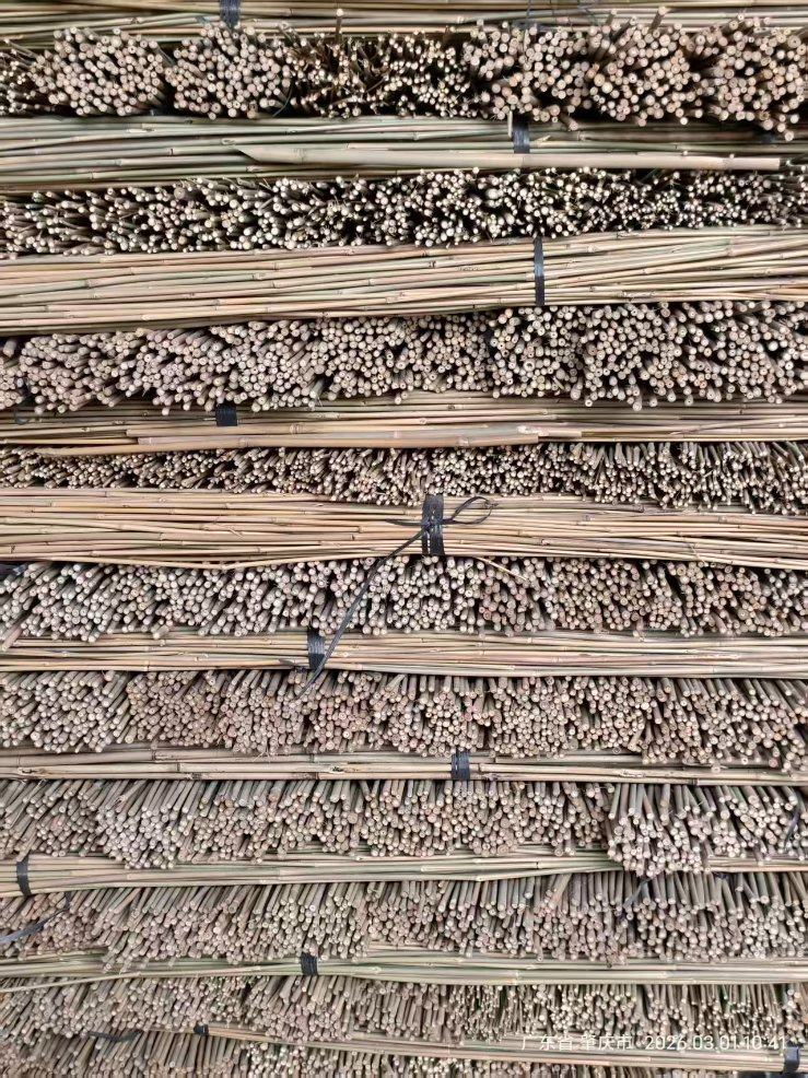 Tonkin Bamboo Pole Stake Stick Cane for Plant/Tree/Flower Support Bamboo T