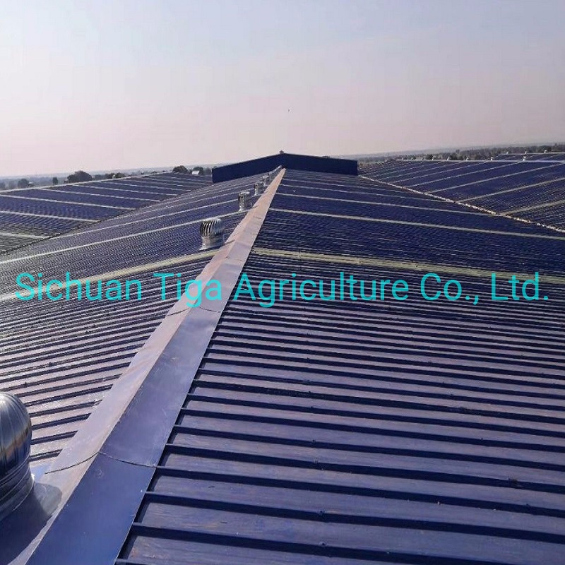 High Quality Prefabricated Steel Structure Industrial Warehouse/Workshop for Sale