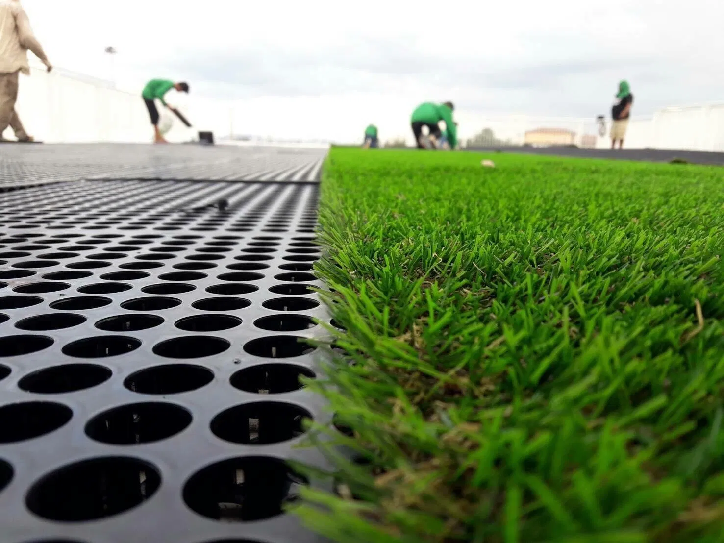 Plastic Drainage Cell Drain Cell Drainage Board for Roof Garden