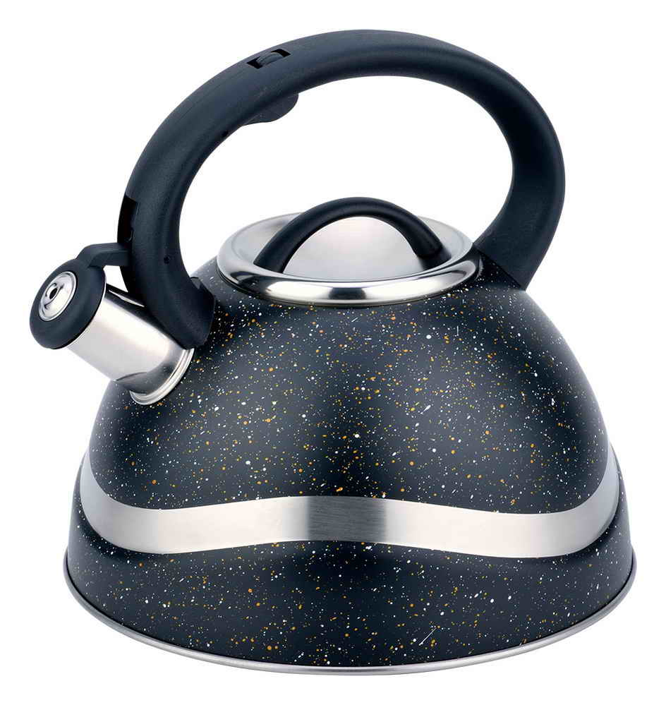 France Stylish 304 Stainless Steel Induction Kettle for Everyday Use