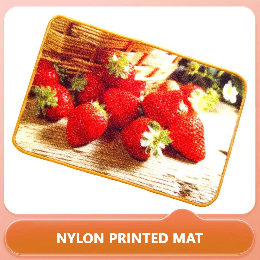 Home Indoor Custom Logo Outdoor Front Door Printed Carpet, Nylon Printed Carpet