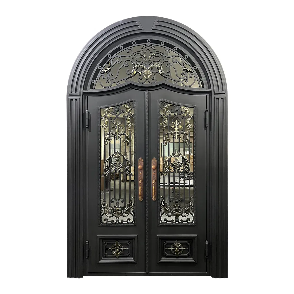 Modern OEM Design Double Luxury Front Exteior Steel Other Door for Home