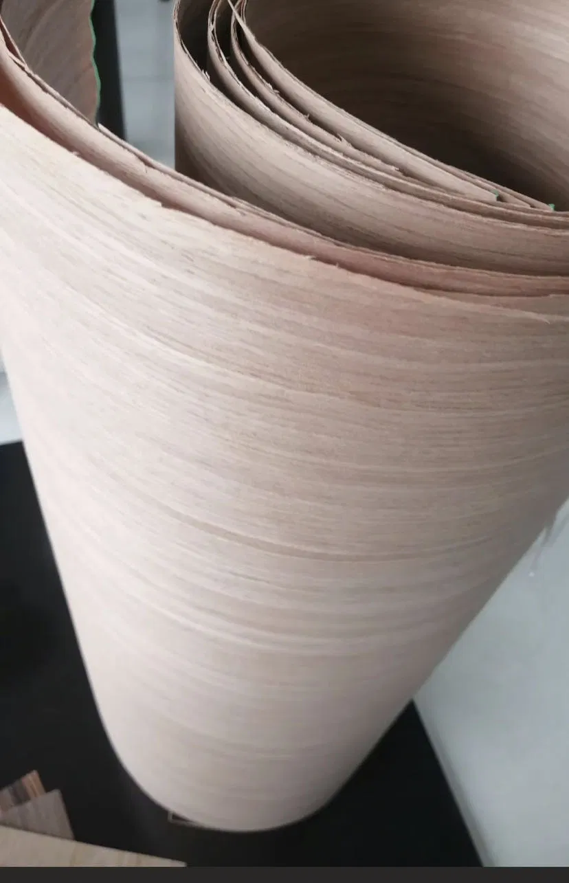 Silver Oak Technology Wood Veneer Loved by Customers for Manufacturing Wooden Doors.