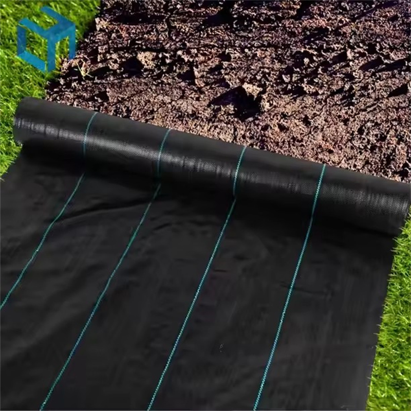 Black100GSM Agricultural Fabric Mat Plant Protection Cover Plastic Weed Mat Custom Cut