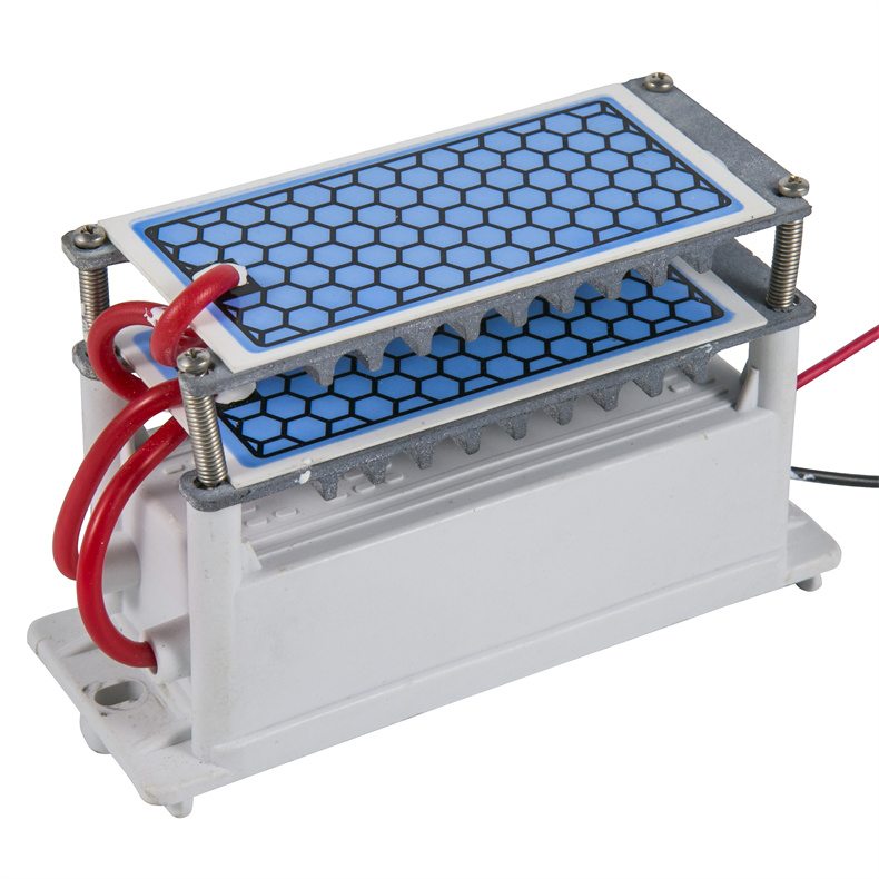 Portable Replacement 12/24/110/220V 5/10/15/20g Ceramic Plate Ozone Generator