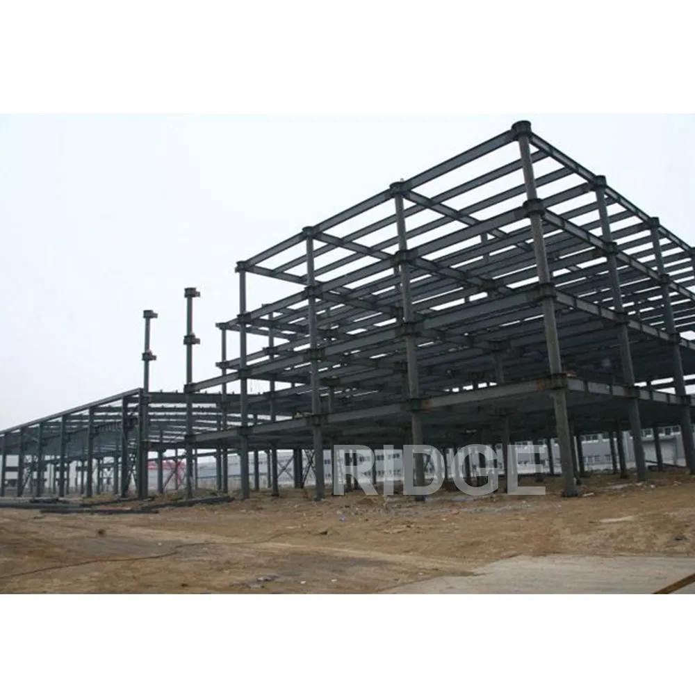 Steel Structure Pedestrian Bridge Protection Comfortable Prefab House with Prefab Canopy