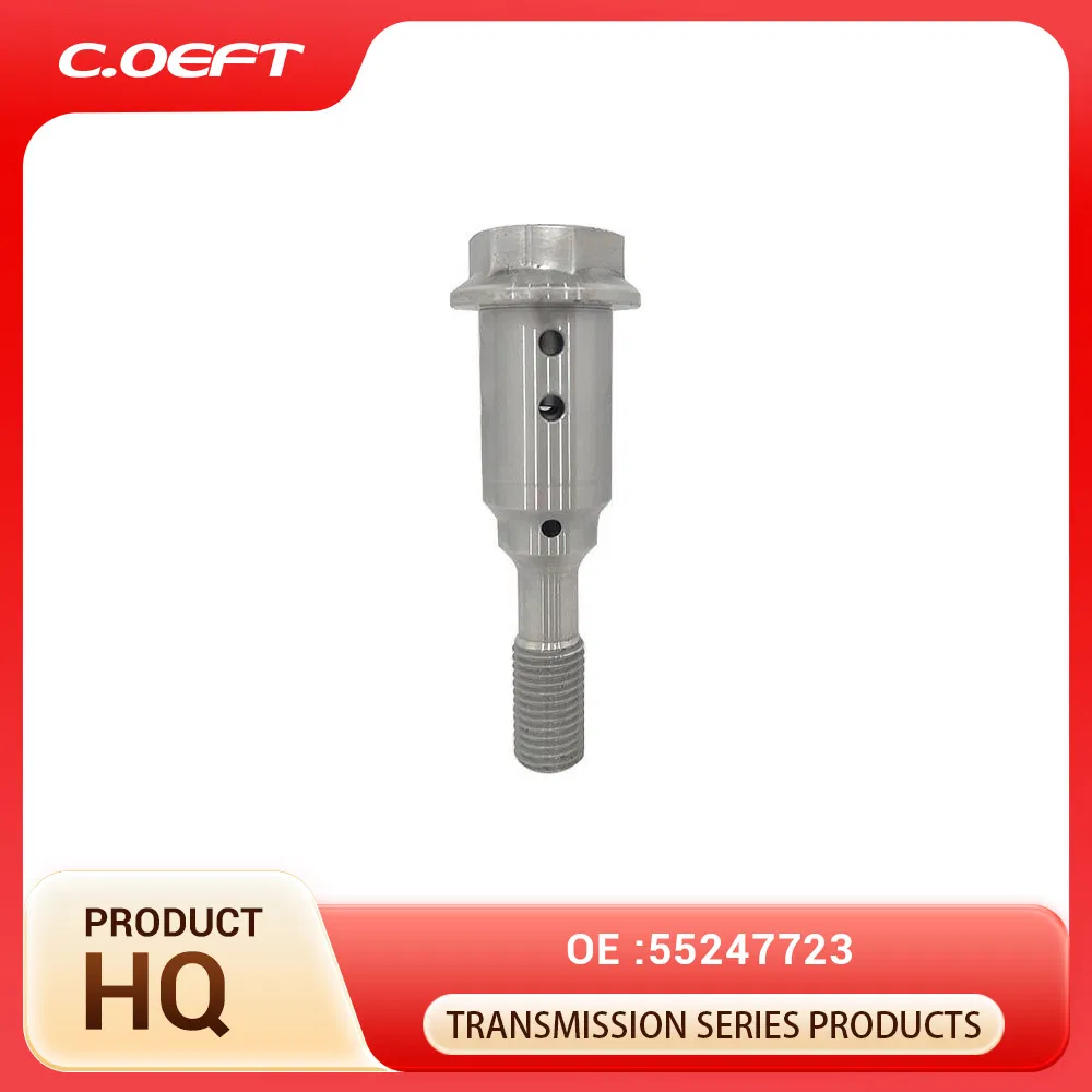 Oil Control Center Screw for Fiat, Jeep