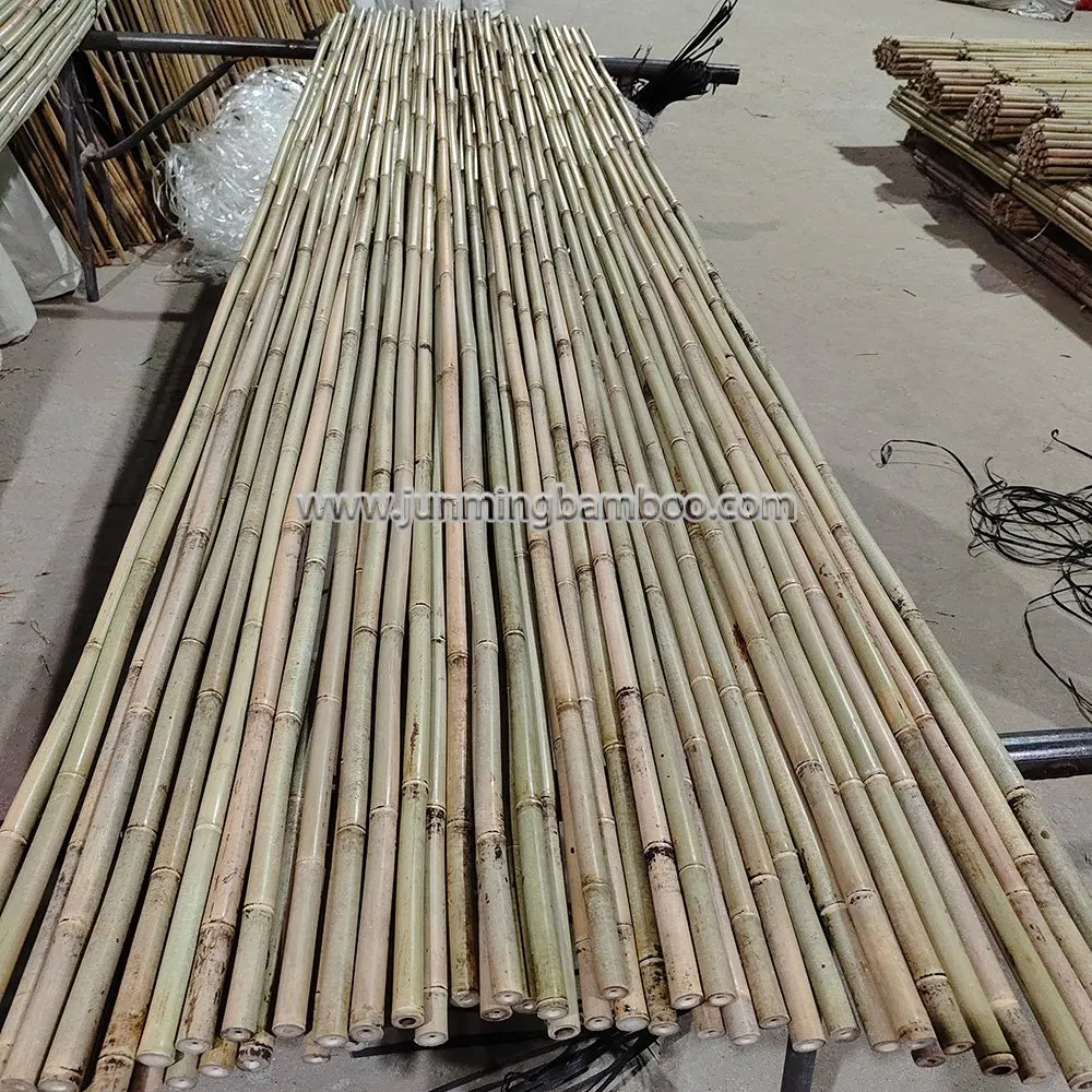 Tonkin Bamboo Cane Garden Stake Tsinglee Nature Raw Bamboo Poles Cheap Price Dia. 22/24mm X 300cm