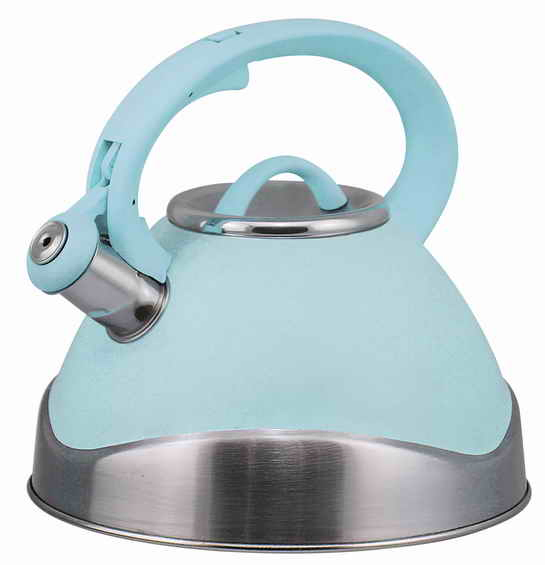 France Stylish 304 Stainless Steel Induction Kettle for Everyday Use