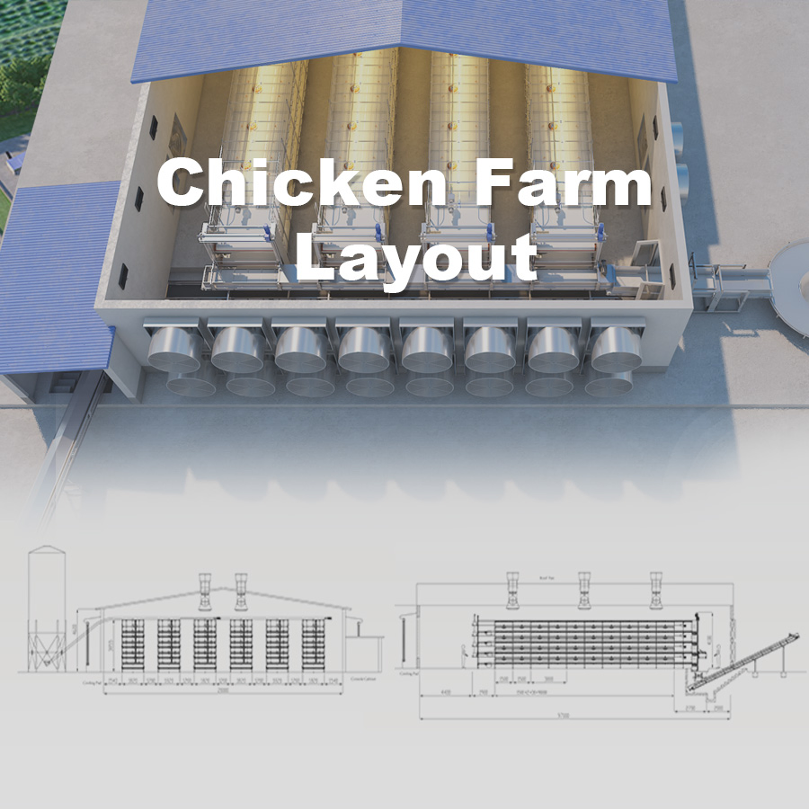 Steel structure poultry house Prefabricated steel chicken house chicken shed