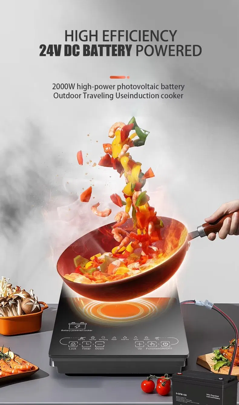 24V/48V Solar DC Battery Induction Stove Cooker