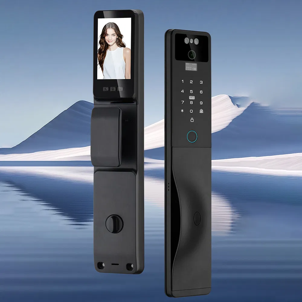 3D Face Recognition Smart Door Lock with Camera Tuya WiFi Biometric Door Smart Digital Lock