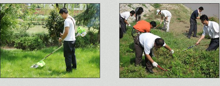 Gasoline Backpack Lawn Mower Shoulder Grass Cutting Machine Harvester Rice Cutter Machine