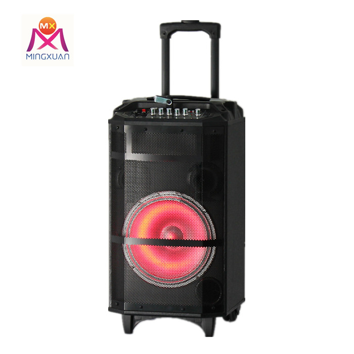 Портативная колонка Bluetooth 10 дюймов с выдвижной ручкой