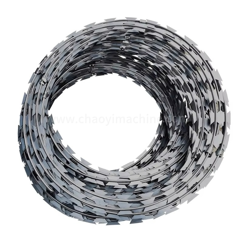 Security Protected Razor Barbed Wire (BTO-28)