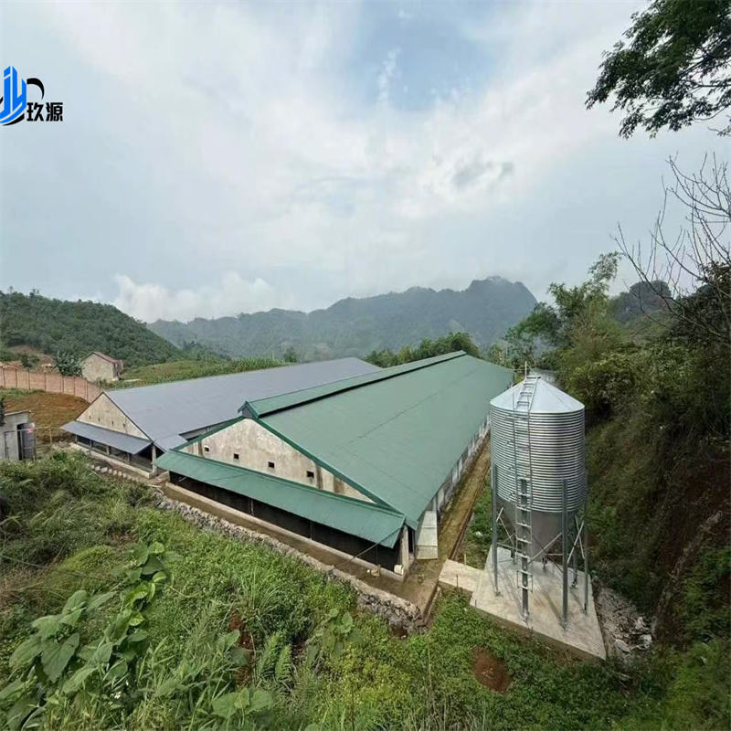 Structured Construction of Chicken Farms, Prefabricated Houses for Poultry, Broiler Farming, Full-Function Chicken House Facilities and Accessories