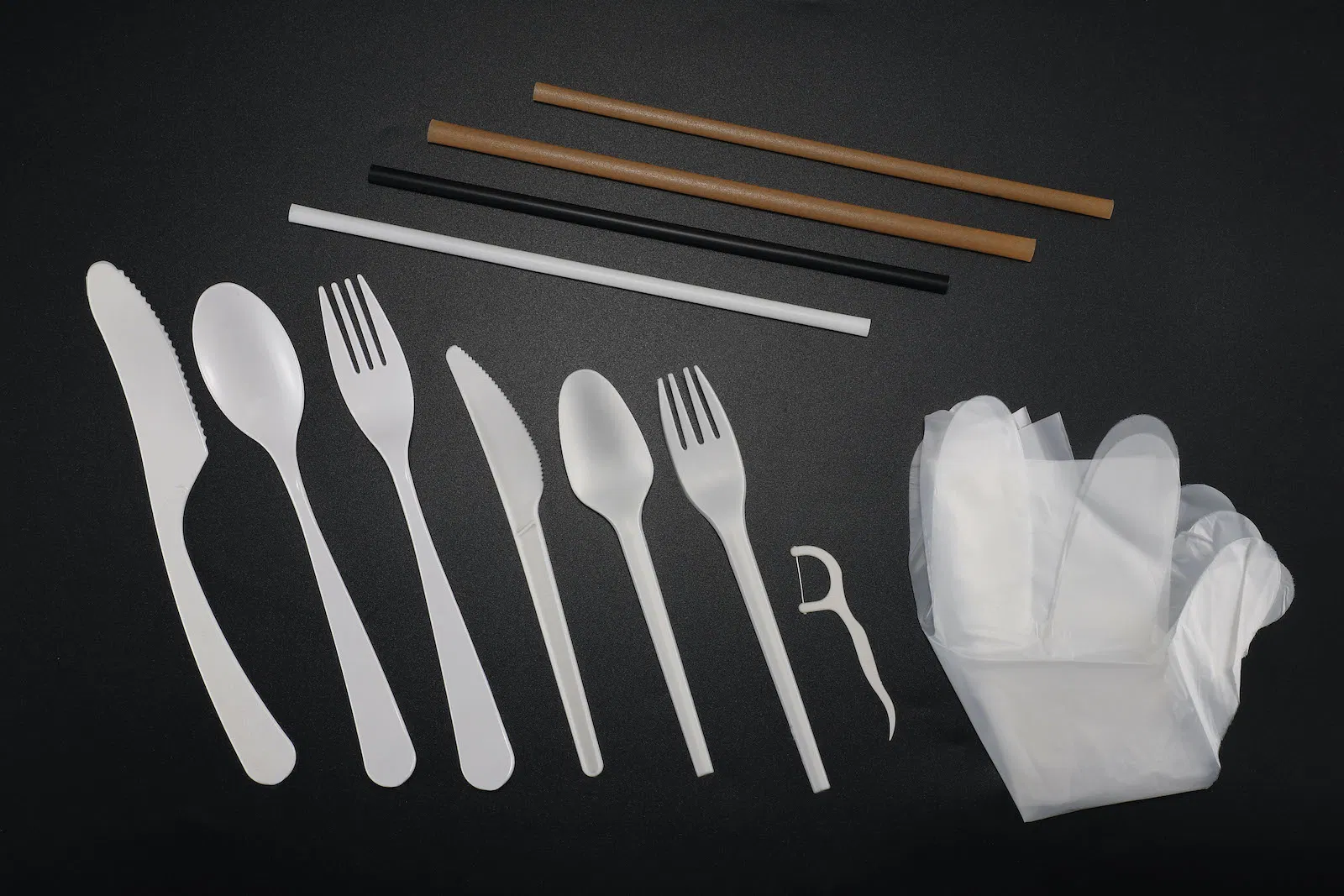 PLA Disposable Clear Plastic Tableware Party Set 10