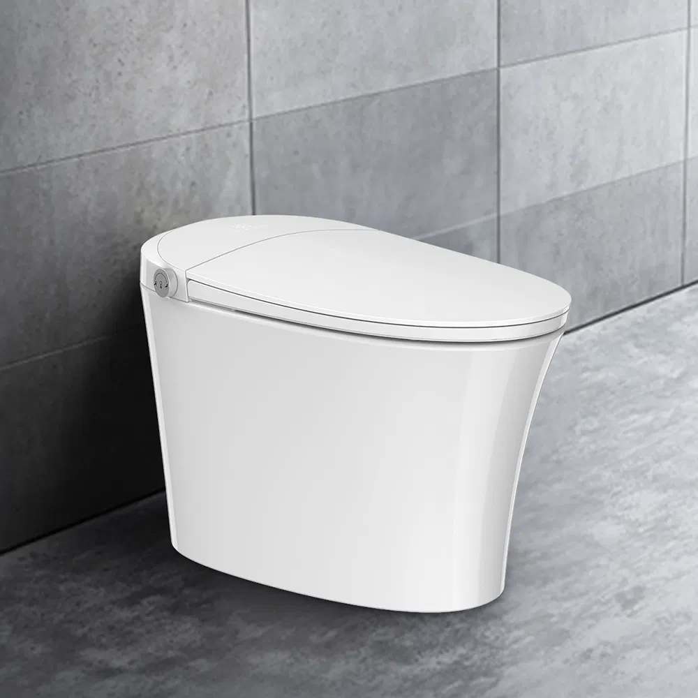 Tejjer One-Piece Smart Toilet with LED Display, Automatic Flush, Instant Heat, Night Light, Seat Heat