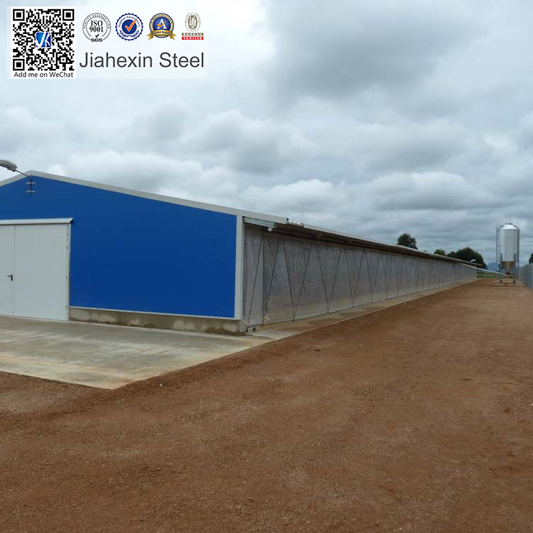 The Low Cost Steel Structure Chincken House