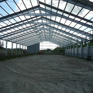 High Rise and Large Span Steel Structure Workshop Building