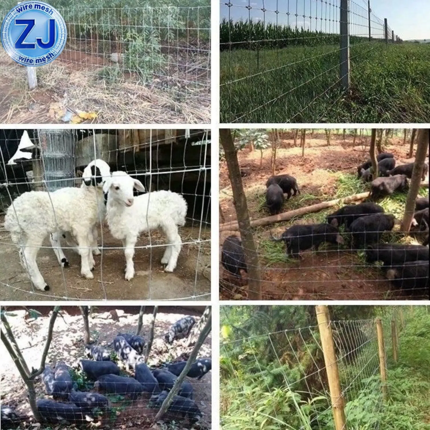 Goat Farming Cattle Fence Panel Field Wire Mesh