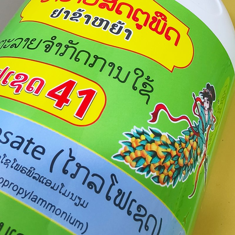 Hot Sale Art Paper Colorful Roll Adhesive Label Sticker Printing Manufacturer