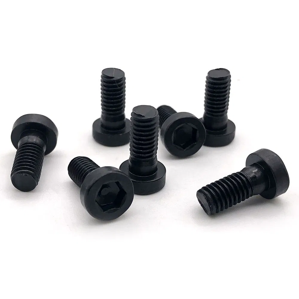 Heavy-Duty Stainless Steel Screw - Common Bolt Multiple Standards Available