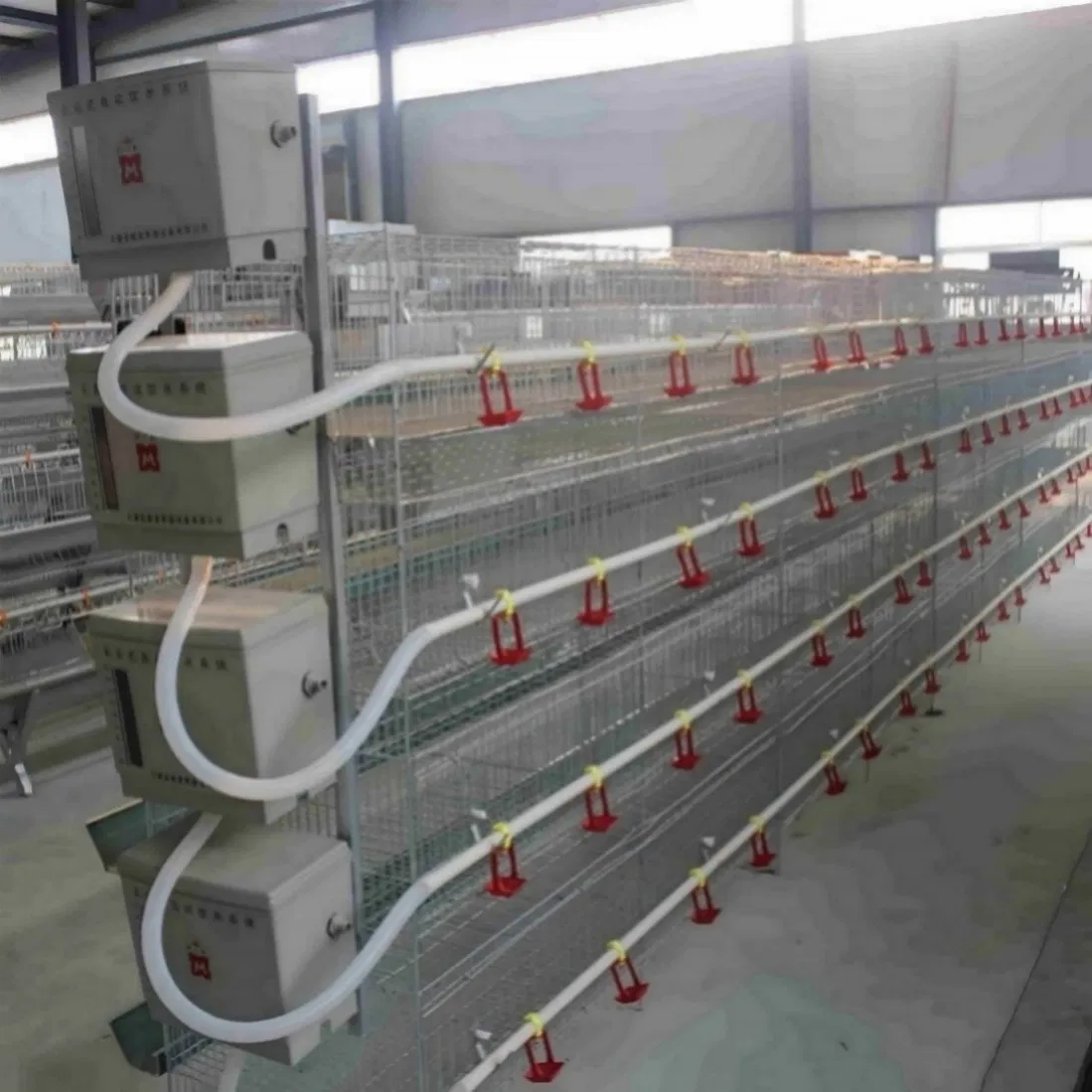 Chicken Cage with Soft Mesh Bottom for Better Foot Health and Comfort