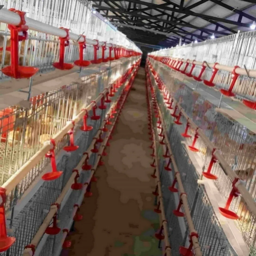 Layer Farm Chicken Cage with Water Pressure Tank