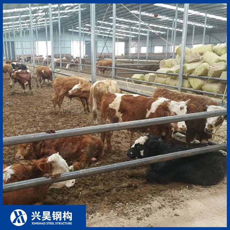 Seismic-Resistant Steel Portal Frame Prefab Metal Storage Farming Equipment Steel Structure Sheep/Goat/Pig/Hog/Cattle/Cow/Poultry House/Shed