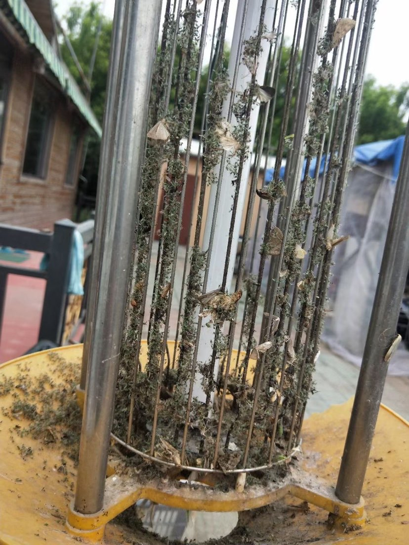 Best Solar Energy Insecticidal Light for Farm Kill Pest