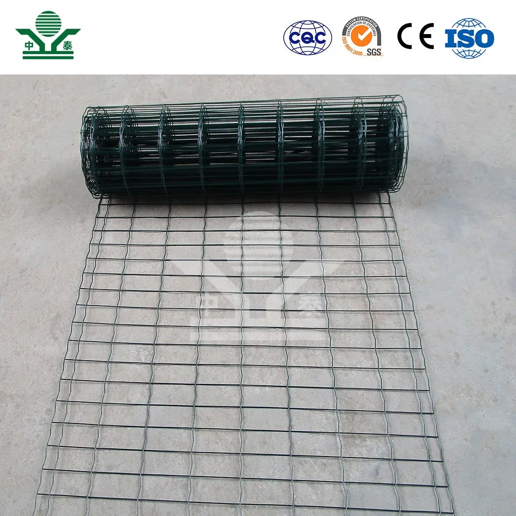 Zhongtai Dutch PVC-Coated Wire Mesh Fence China Manufacturing Dutch Holland Wire Mesh 5 - 25 M Length Dutch Wire Mesh Garden Fence