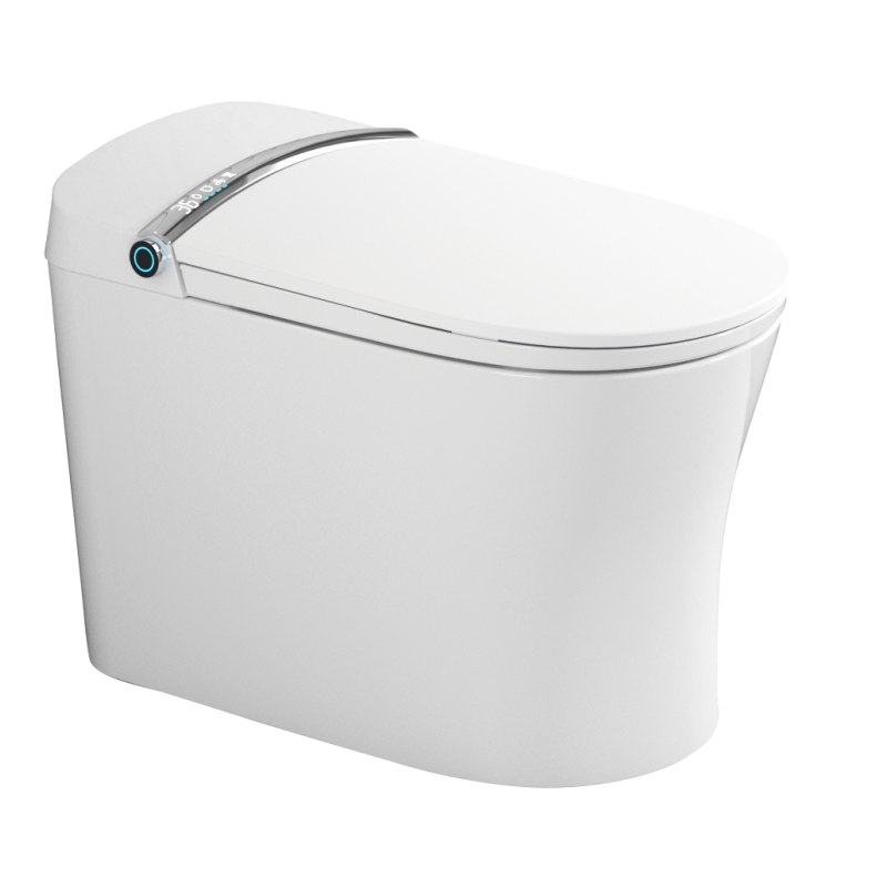 Fashionable and Highly Popular Intelligent Toilet