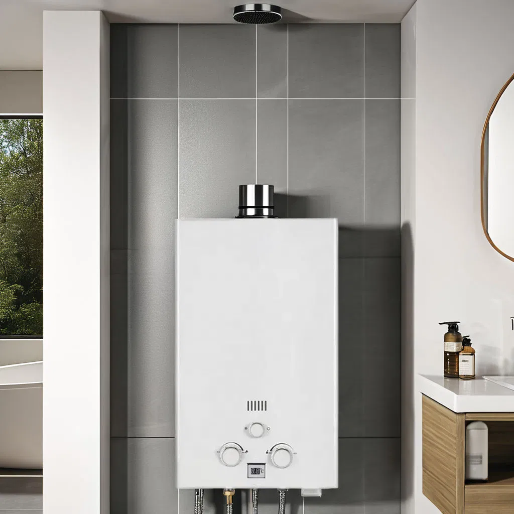 Home Appliance Flue Type Tankless Instant Gas Water Heater Gas Geyser Boiler with Custom Logo