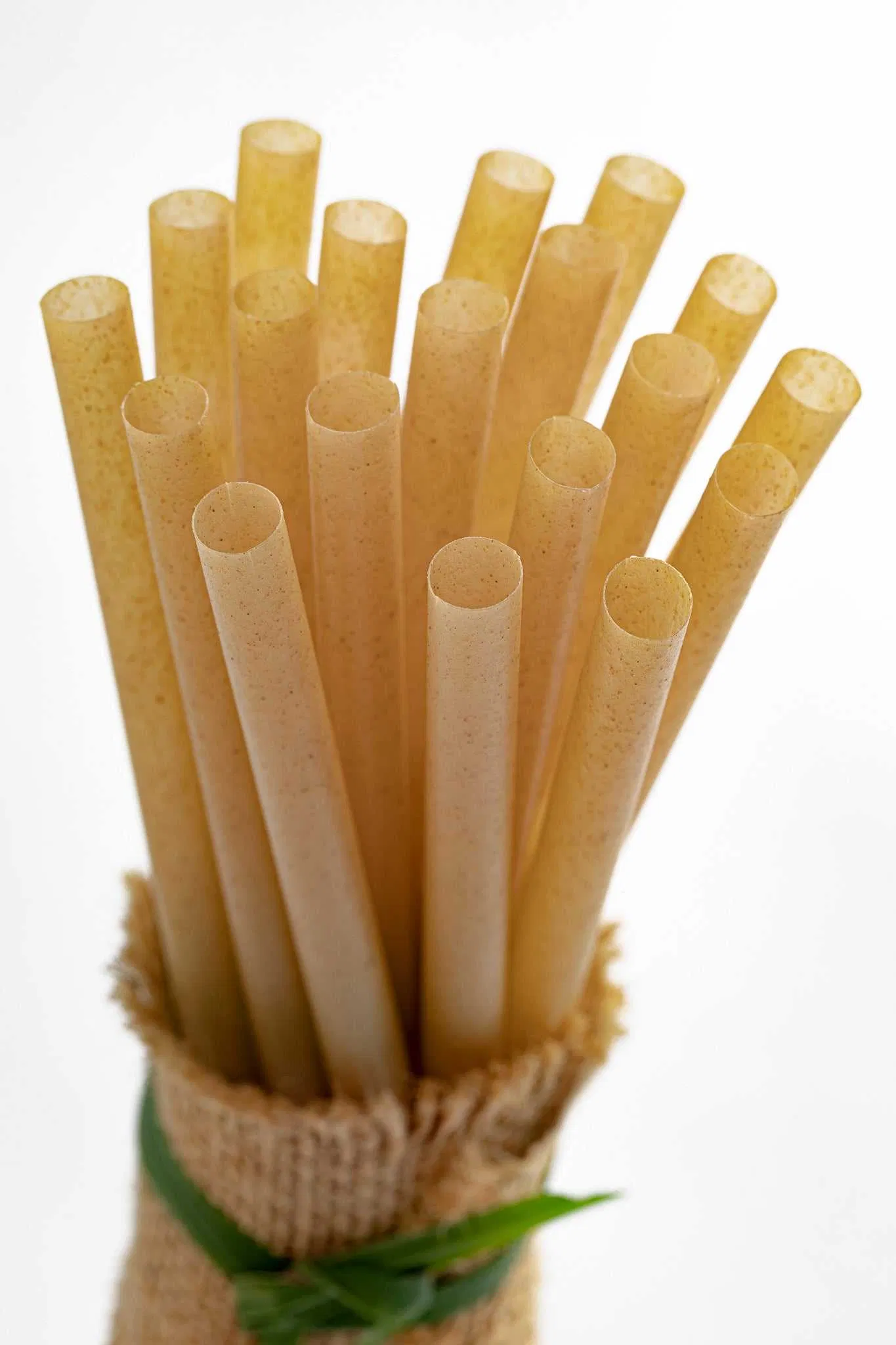 Bambus Eco Friendly Biodegradable Compostable Sugarcane Bagasse Disposable Drinking Straw