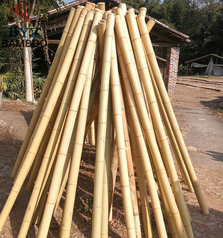 Natural Moso Bamboo Pole